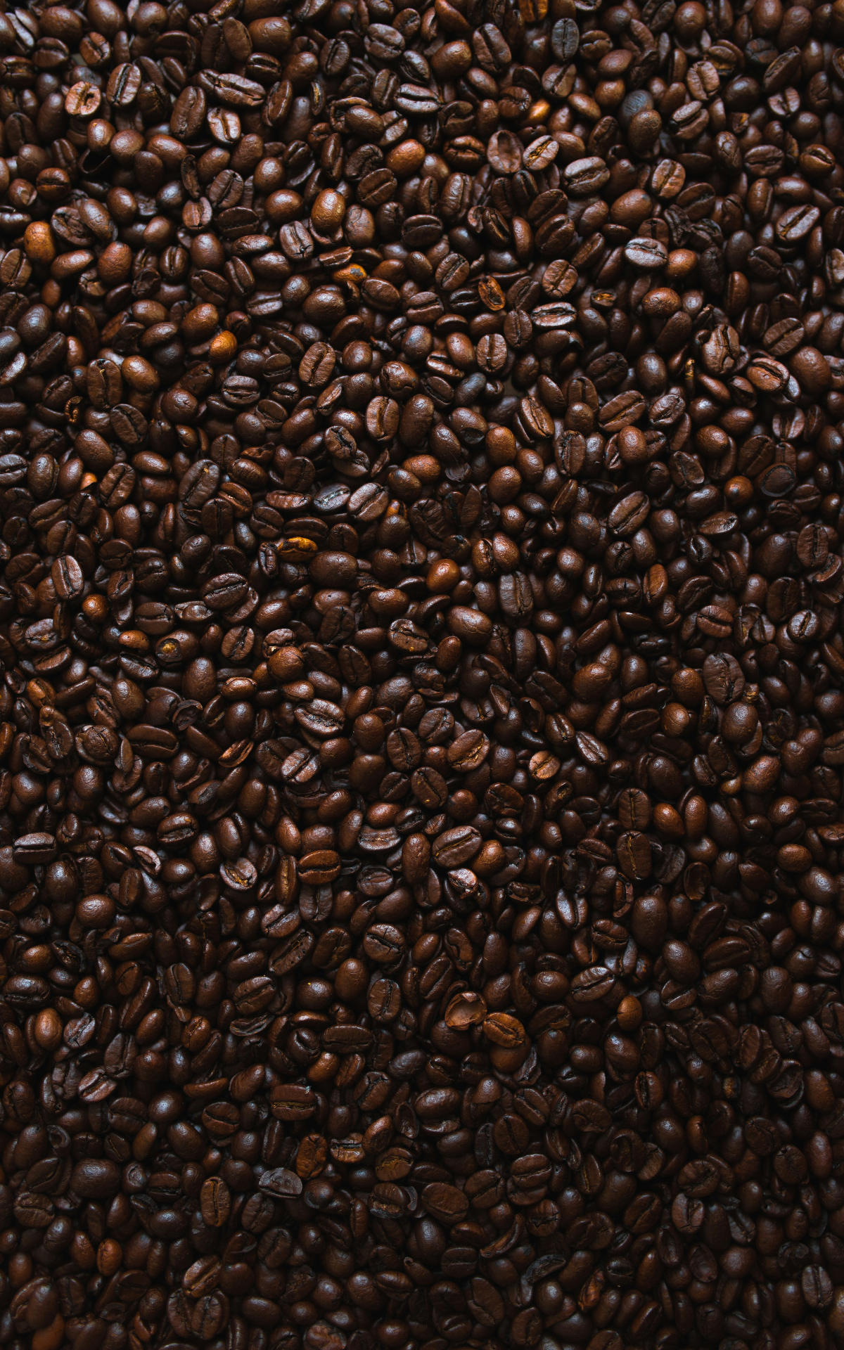 Premium coffee beans